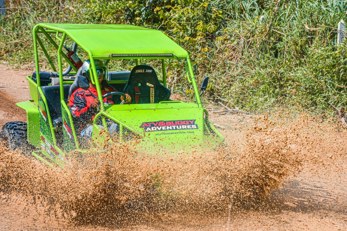 Buggy VIP 2 Places
