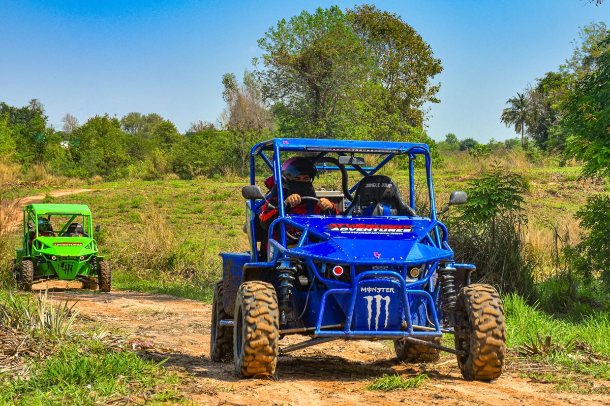 Buggy VIP 2 Places