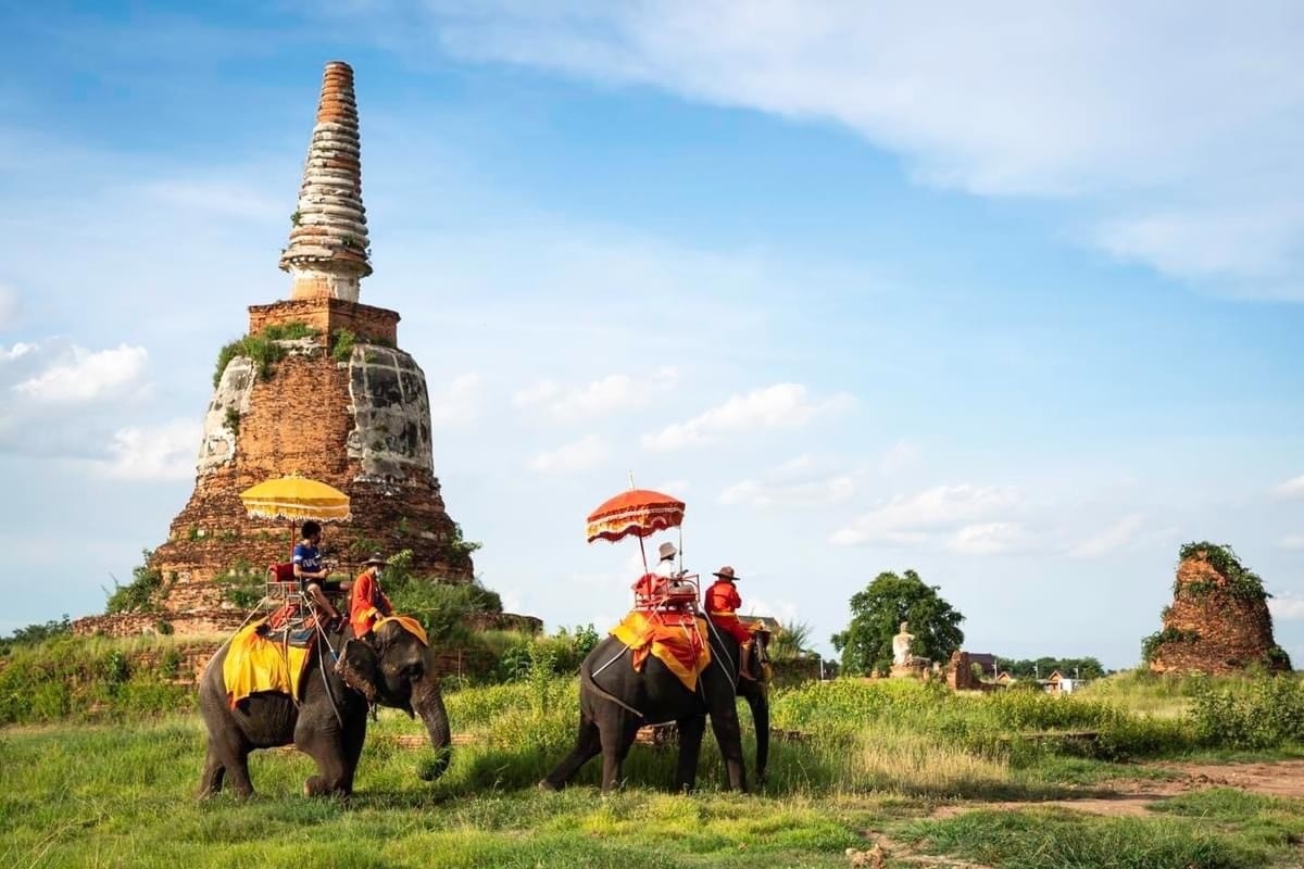 Ayutthaya + Löwenpark + Elefantenreiten