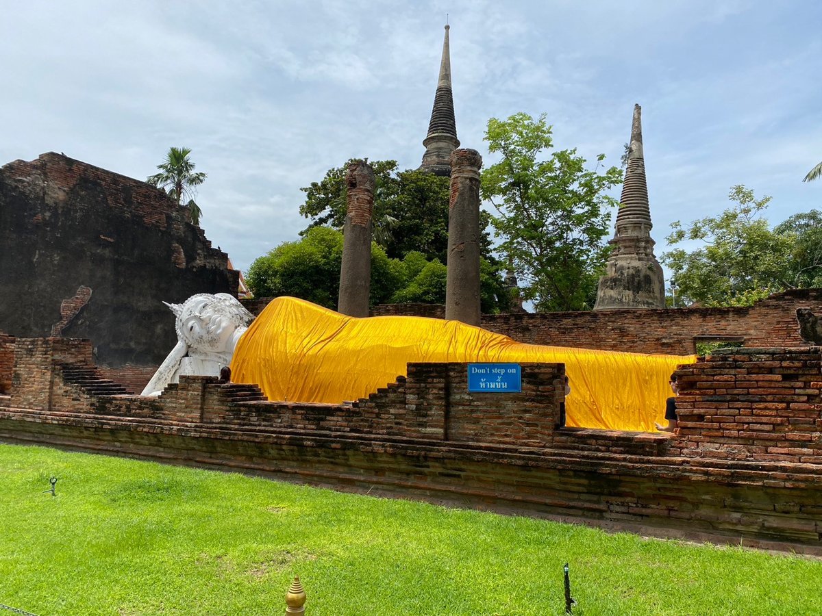 Ayutthaya + Löwenpark + Elefantenreiten