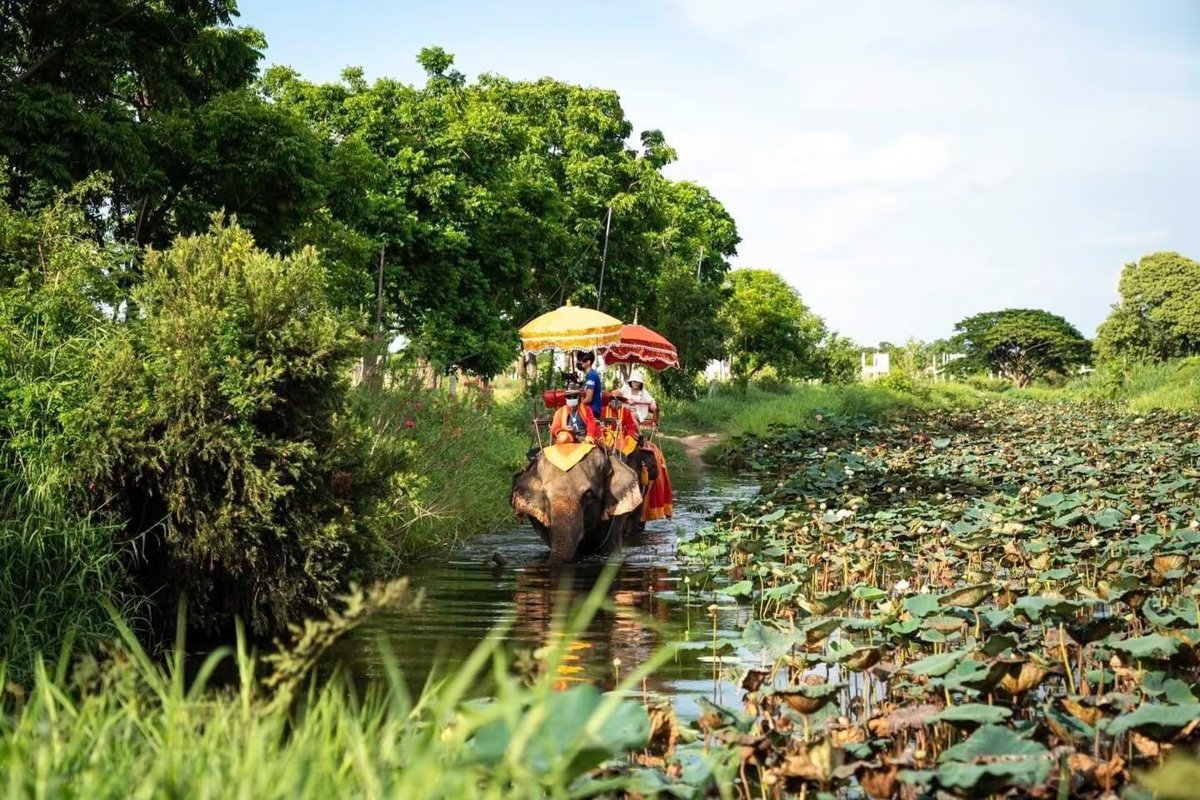 Ayutthaya + Löwenpark + Elefantenreiten
