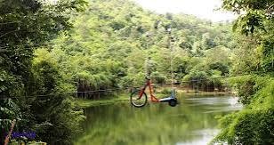 Tarzan Flight (Tree Top)