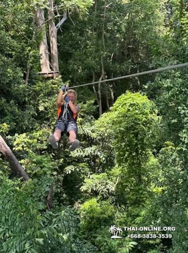 Tarzan Flight (Tree Top)