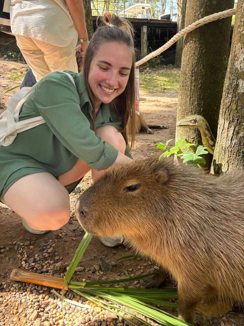 カオキオ動物園