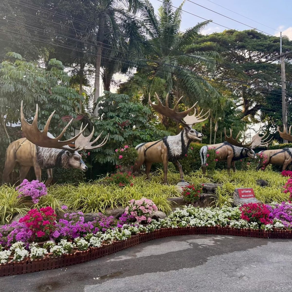 Giardino Tropicale Nong-Nuch + Tempio della Verità