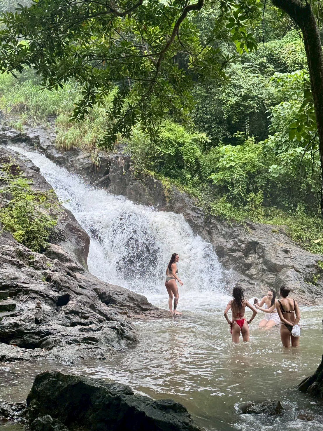 Khao Yai Waterfalls Excursion