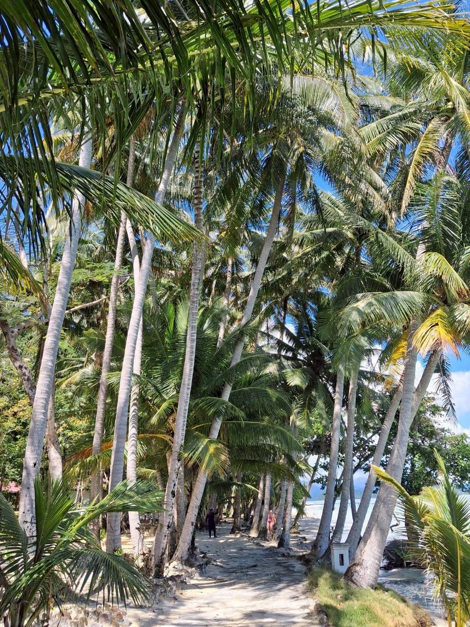 Isla Ko Chang 2 días/1 noche en Paradise Hill 4* Económico