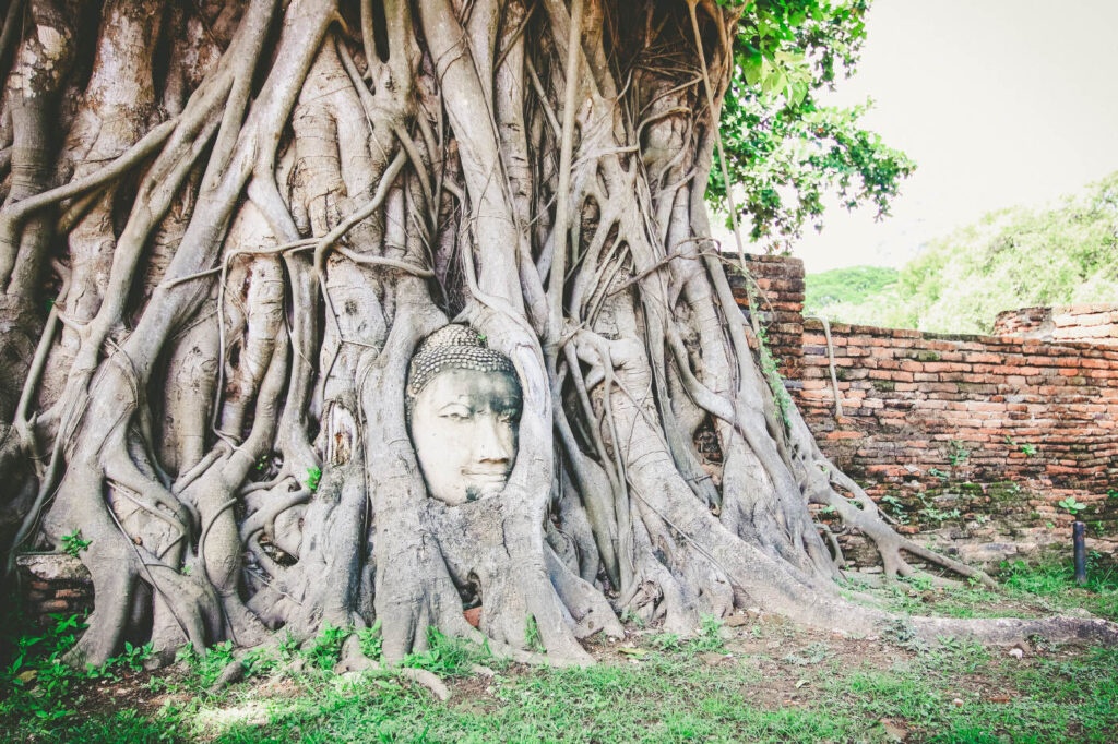 AYUTTHAYA + Bootstour