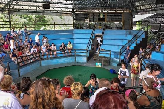 Snake Show