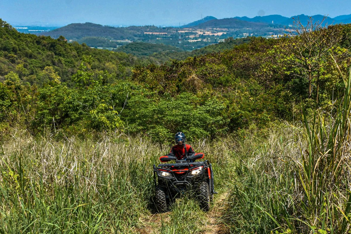 VIP-Quads