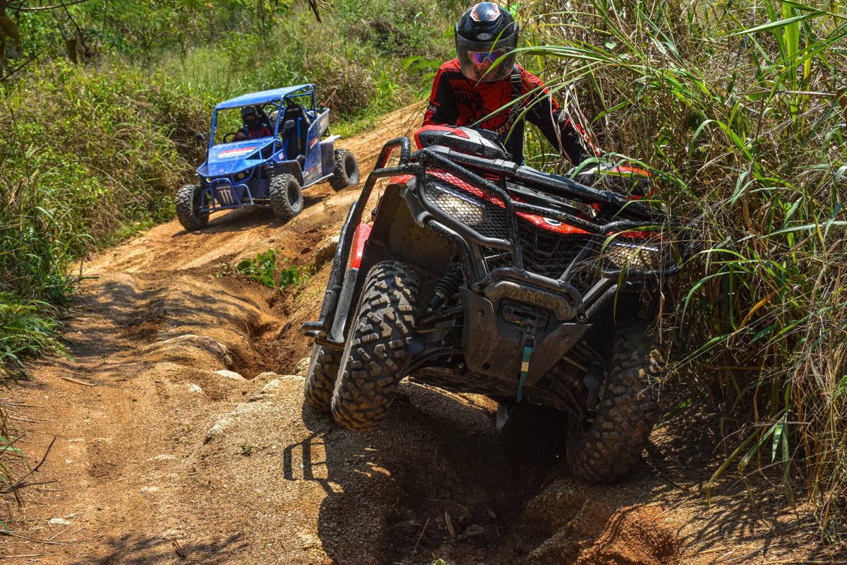 VIP-Quads