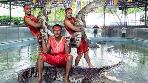 Crocodile Farm