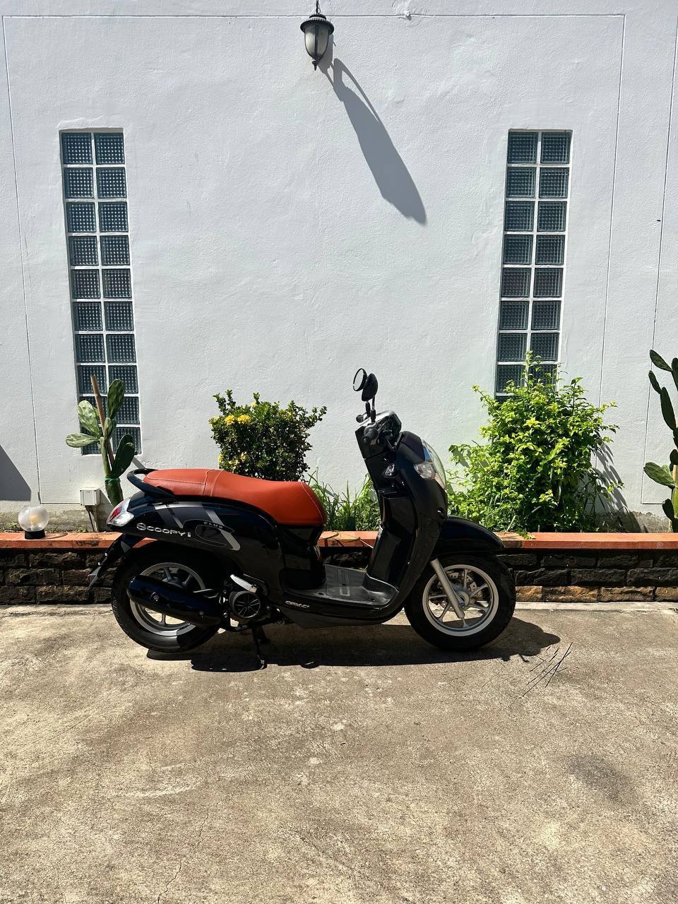 Honda Scoopy Club 12