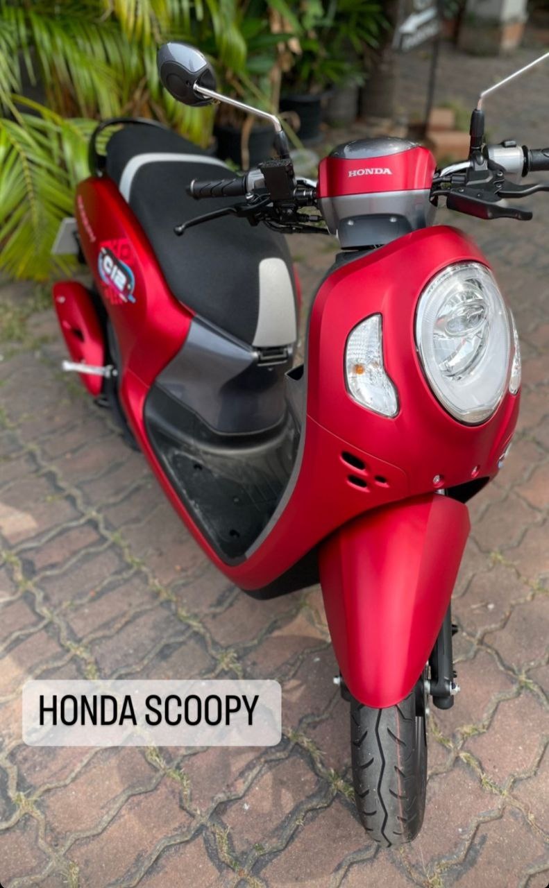 Honda Scoopy Club 12