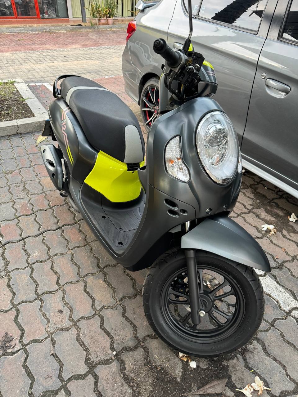 Honda Scoopy Club 12