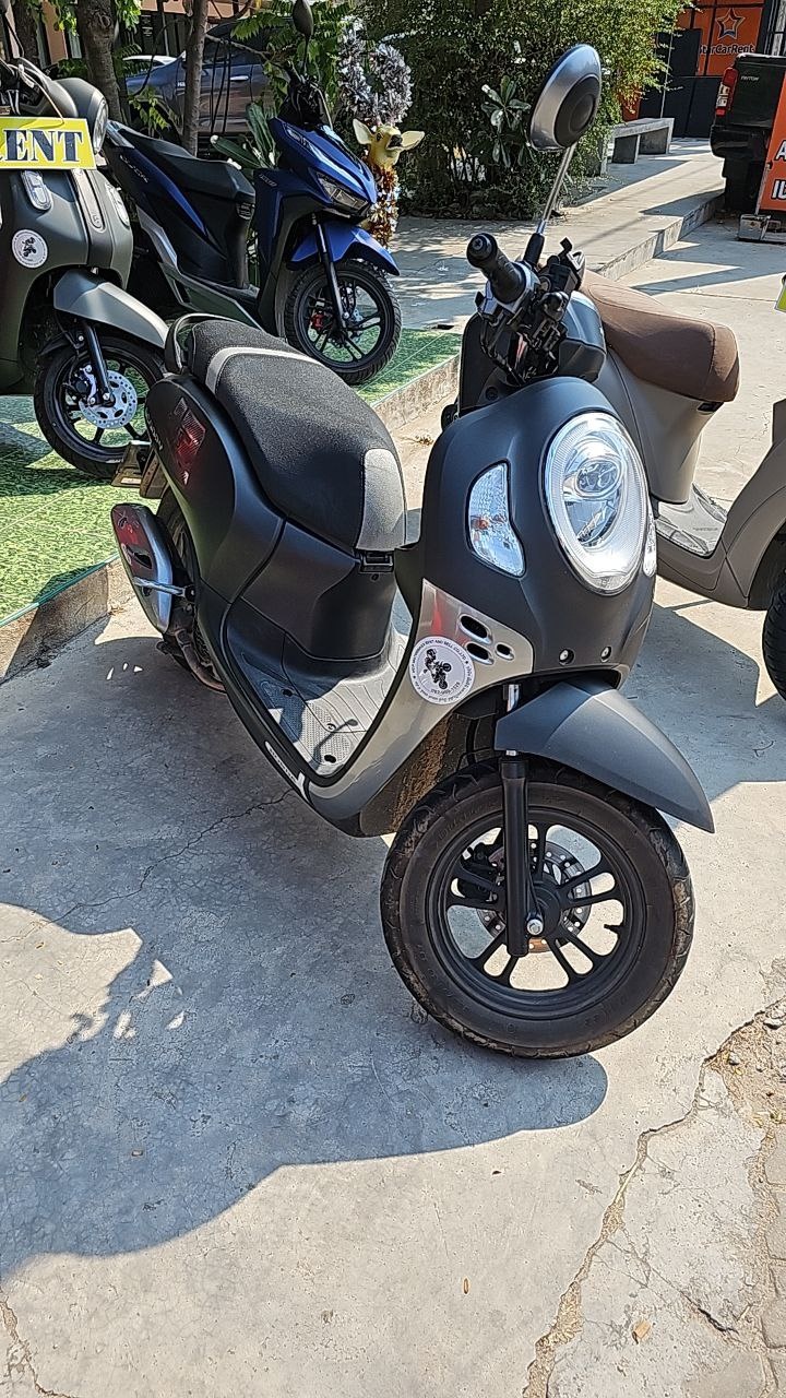 Honda Scoopy Club 12